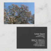 Magnolia Trees in Blossom Visitekaartje (Voorkant / Achterkant)