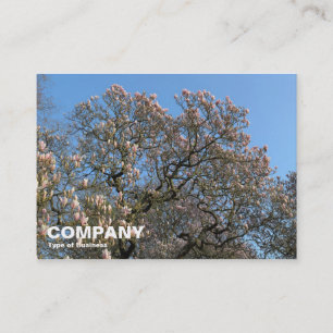 Magnolia Trees in Blossom Visitekaartje