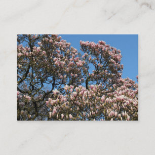 Magnolia Trees in Blossom Visitekaartje