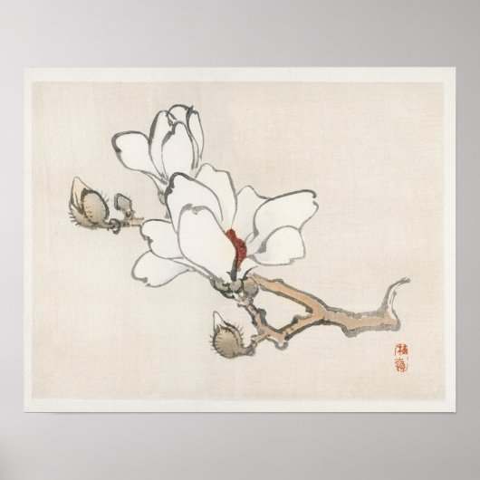 Magnolia van Kono Bairei (1844-1895) Poster (Voorkant)