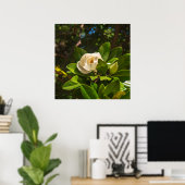 Magnolia van Korfoe Poster (Thuiskantoor)