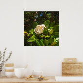 Magnolia van Korfoe Poster (Keuken)