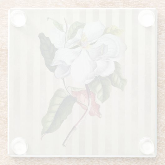  Magnolia-ventilator op strepes Glazen Onderzetter (Achterkant)