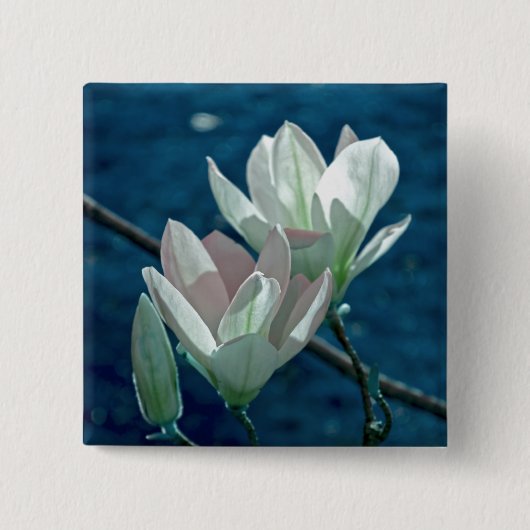 Magnolia Vierkante Button 5,1 Cm (Voorkant)