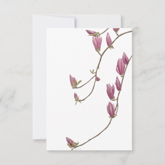 Magnolia Vine bedankkaart (Achterkant)