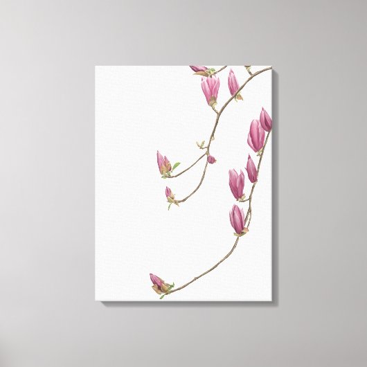 Magnolia Vine Canvas Afdruk (Voorkant)