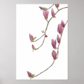 Magnolia Vine Poster (Voorkant)