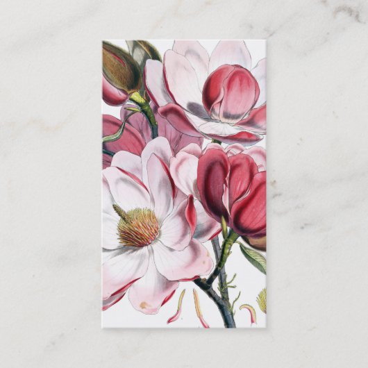 Magnolia Visitekaartje (Voorkant)