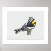Magnolia Warbler Art Print (Voorkant)