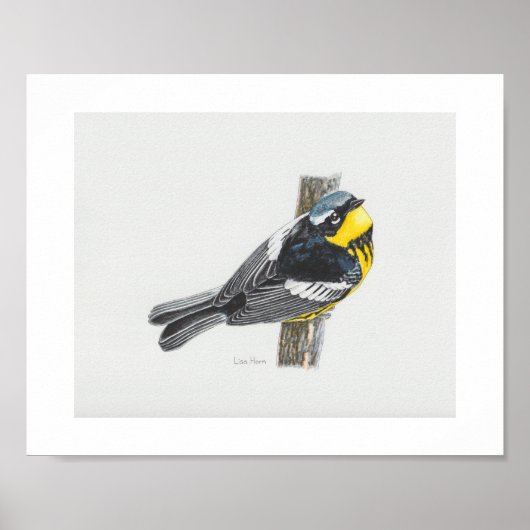 Magnolia Warbler Art Print (Voorkant)