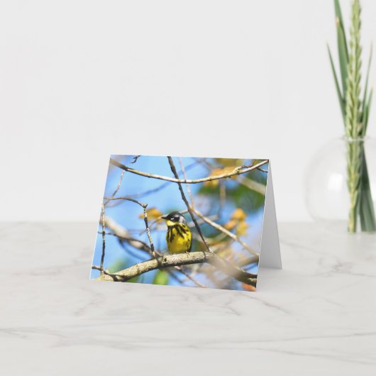 Magnolia Warbler - Blank Note Kaart (Voorkant)