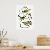 Magnolia Warbler, John Audubon Poster (Keuken)