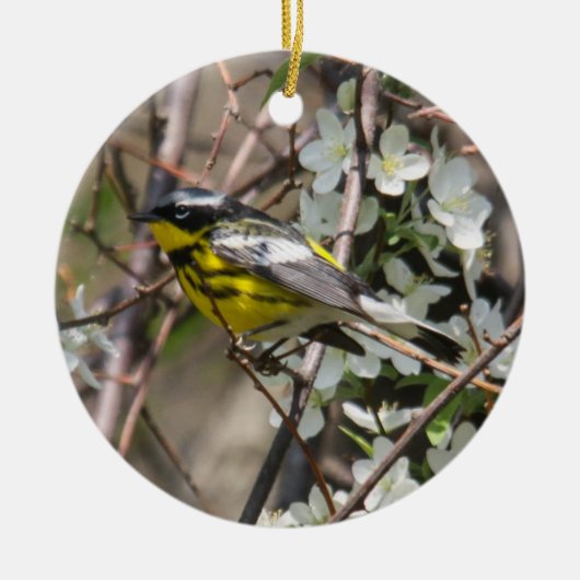 Magnolia Warbler Keramisch Ornament (Voorkant)