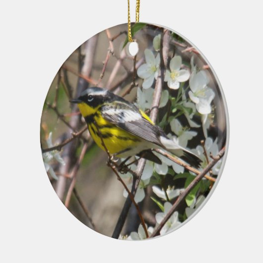 Magnolia Warbler Keramisch Ornament (Links)