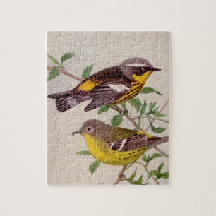 Magnolia Warbler Painting van Louis Agassiz Fuente Legpuzzel