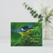 Magnolia Warbler Post Card Briefkaart (Staand voorkant)