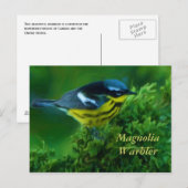 Magnolia Warbler Post Card Briefkaart (Voorkant / Achterkant)