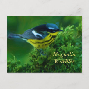 Magnolia Warbler Post Card Briefkaart