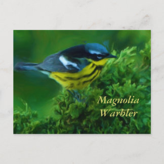 Magnolia Warbler Post Card Briefkaart