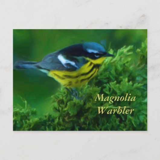 Magnolia Warbler Post Card Briefkaart (Voorkant)