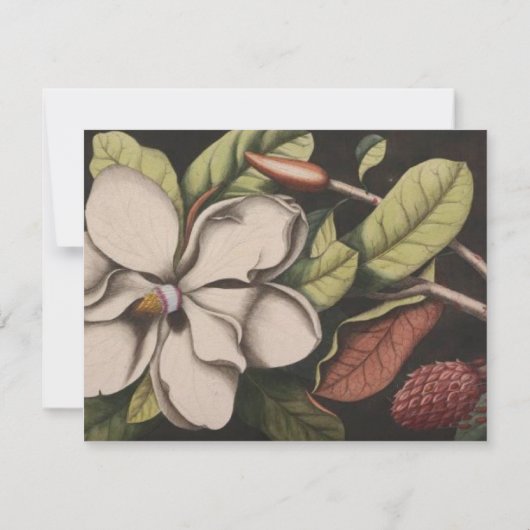 Magnolia Wedding RSVP (Achterkant)