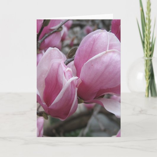 Magnolia Wenskaart Kaart (Voorkant)