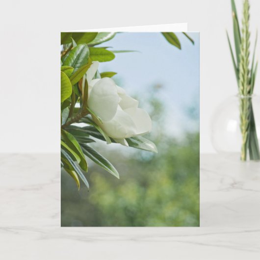 MAGNOLIA-WENSKAART KAART (Voorkant)