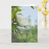 MAGNOLIA-WENSKAART KAART (Gele Bloem)