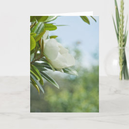 MAGNOLIA-WENSKAART KAART