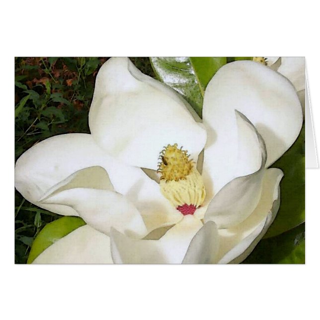 Magnolia White (Voorkant Horizontaal)