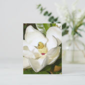 Magnolia White Briefkaart (Staand voorkant)