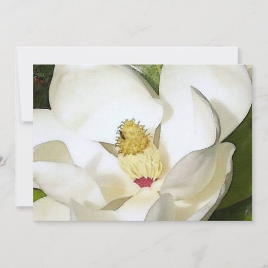 Magnolia Witte Uitnodiging - Bloemkunst Uitnodigt (Voorkant)