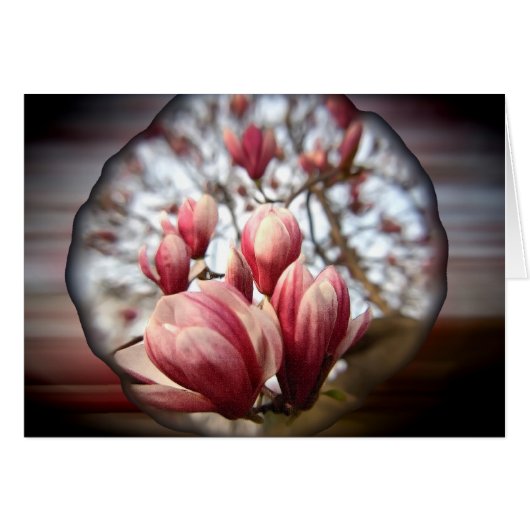 Magnolia Wood (Voorkant Horizontaal)