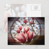 Magnolia Wood Briefkaart (Voorkant / Achterkant)