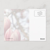 Magnolia Wood Briefkaart (Achterkant)