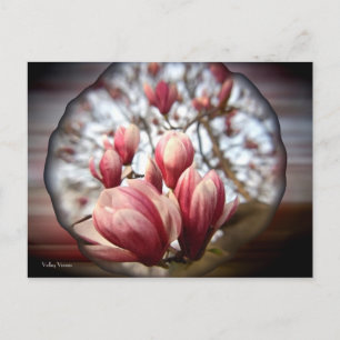 Magnolia Wood Briefkaart