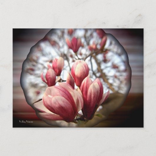 Magnolia Wood Briefkaart (Voorkant)