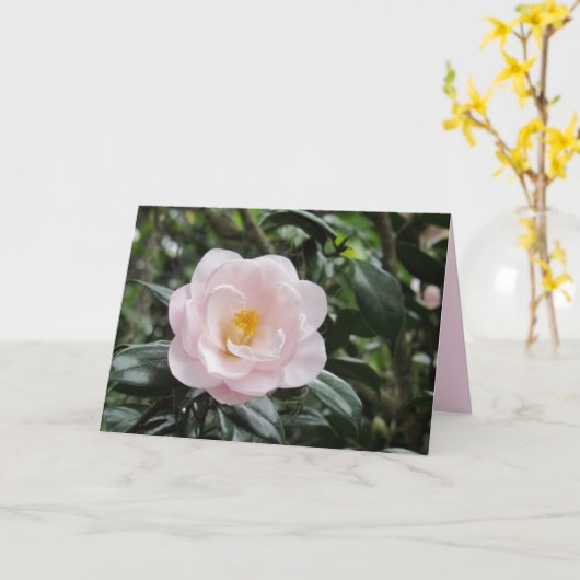 Magnoliaeflora Camellia Wenskaart Kaart (Gele Bloem)