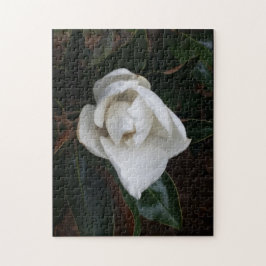 Magnolia's 1 legpuzzel