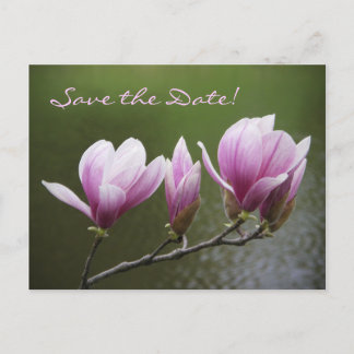 Magnolia's, Bewaar de Datum! Aankondigingskaart