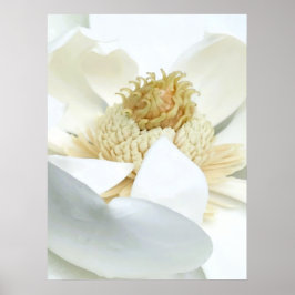 Magnolia's bloei poster