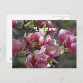 Magnolias Briefkaart (Voorkant / Achterkant)