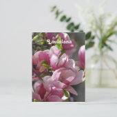 Magnolias Briefkaart (Staand voorkant)