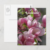 Magnolias Briefkaart (Voorkant / Achterkant)