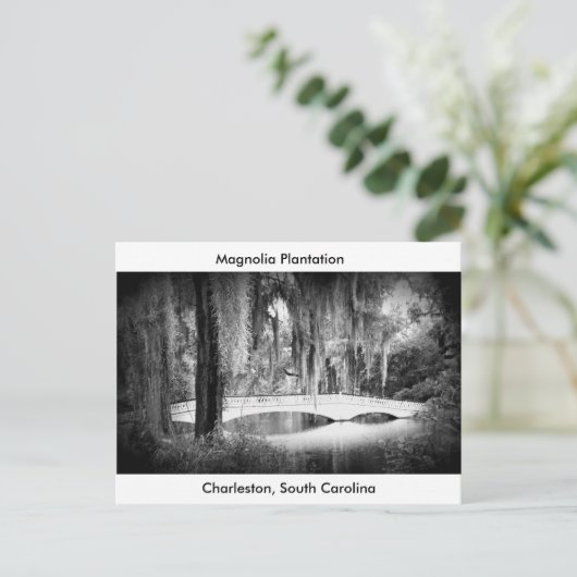 Magnolia's Brug Briefkaart (Staand voorkant)