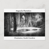 Magnolia's Brug Briefkaart (Voorkant)