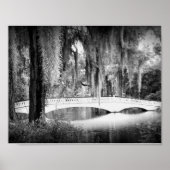 Magnolia's Brug Poster (Voorkant)