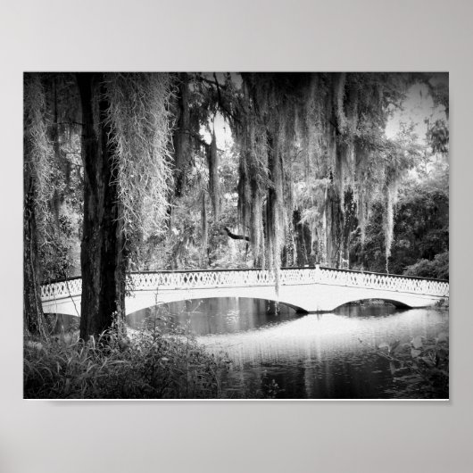 Magnolia's Brug Poster (Voorkant)