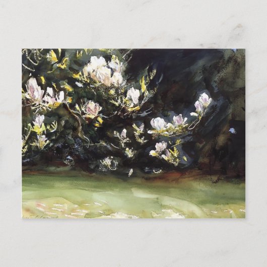 Magnolias door John Singer Sargent Briefkaart (Voorkant)