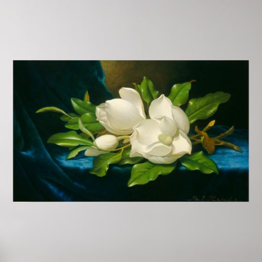 Magnolias - Martin Johnson Heade Fine Art Poster (Voorkant)